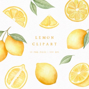 Watercolor Lemons Clipart Set, Hand-painted Lemon PNG, Fruit clipart for Personal and Commercial Use