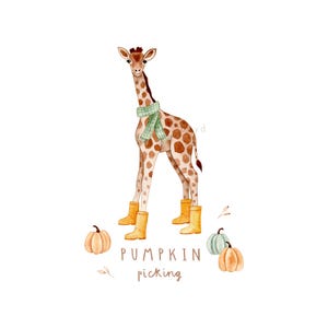 May include: A watercolour illustration of a giraffe wearing a green scarf and yellow wellington boots, standing near pumpkins. The giraffe has brown spots and is set against a white background. Text reads "Pumpkin picking".