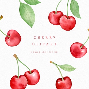 Kersen clipart, aquarel kers PNG, handgeschilderde kersen, handgetekende fruit clipart voor persoonlijk en commercieel gebruik,