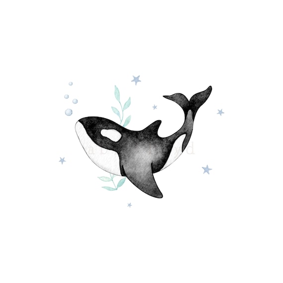 Orca png, Whale png, Kids png Files, Toddler png, Kids Sublimation Designs, Ocean png, Baby png