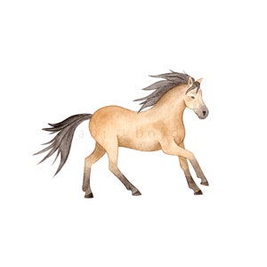 Watercolor Horse PNG - Sublimation Art for Commercial & Personal Use, Equine Clipart, Farm Animal watercolour design, Sublimation Graphics