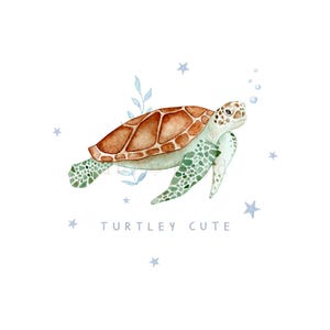 Tortuga linda png, tortuga marina png, archivos png para niños, png para niños pequeños, diseños de sublimación para niños, png para niños, png para bebés