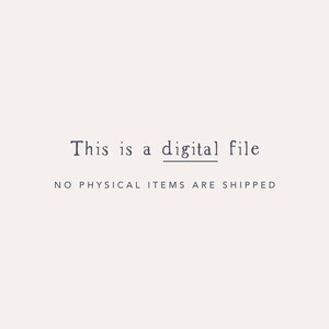 This is a digital file