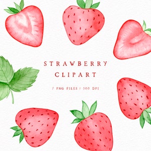 Watercolour Strawberries PNG, Cute Strawberry Clipart Set, Fruit clipart for Personal and Commercial Use Hand-Painted Valentine Clipart