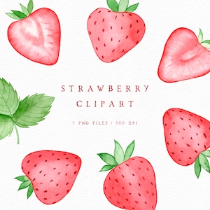 Watercolour Strawberries PNG, Cute Strawberry Clipart Set, Fruit clipart for Personal and Commercial Use Hand-Painted Valentine Clipart