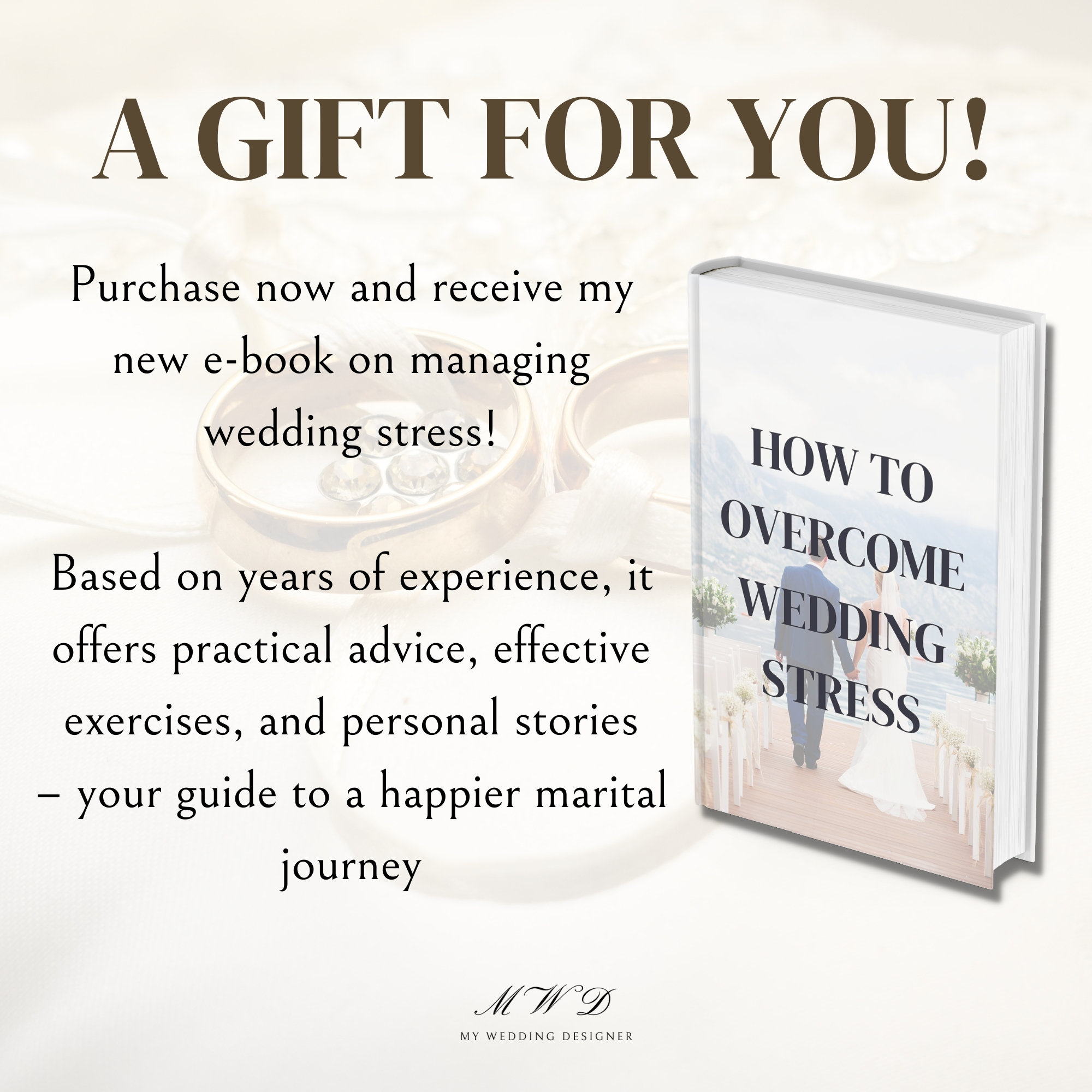 Pearl Veil Pearl Wedding Veil Cathedral Length Bridal Hair