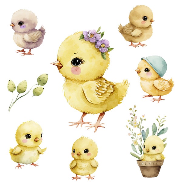 Spring cute watercolour baby chick chicken clipart easter clipart cute clipart birds spring png