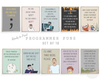 Programmer Puns Funny Posters, Programmer Gift, Software Engineer, Developer Memes, Engineer Gifts Funny Print, Programmer Meme Poster