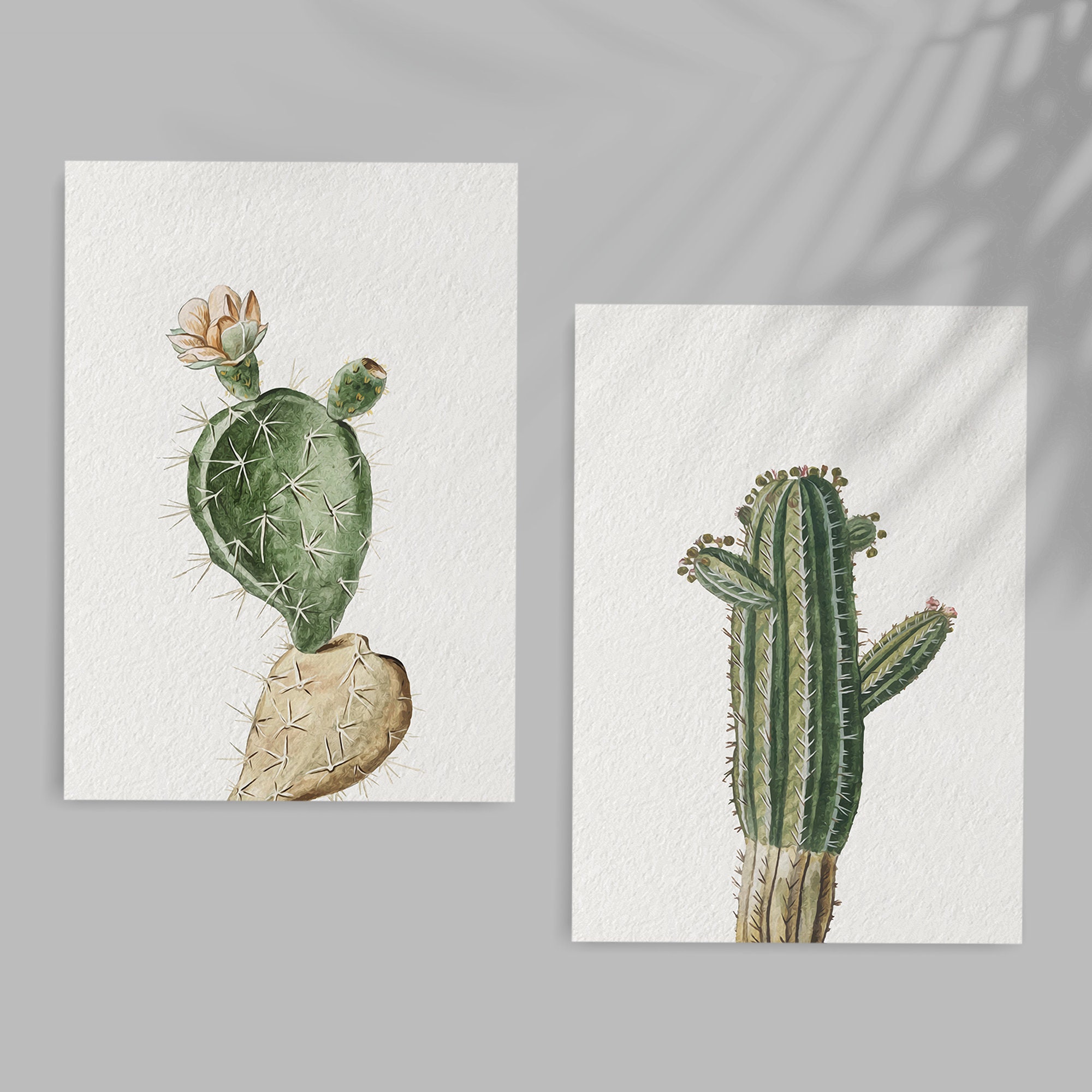 Cactus Printable Wall Art Set of 7, Succulent Print, Digital Botanical ...