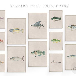 Vintage Fish Wall Art Downloadable, Animal Art Prints Series Printable, Zen Wall Art, Above Bed Art Digital Download, Canvas Wall Art
