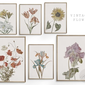 Vintage Botanical Art | Set of 6 | Printable Wall Art | Digital Download | Gallery Art | Wildflower Set | Home Decor | Botanical Gallery