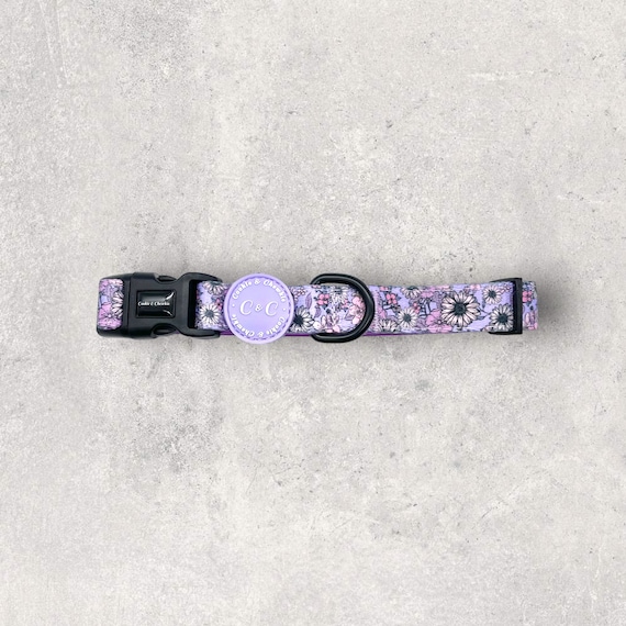 I Can Buy Myself Flowers Dog Collar, Lilac Floral Adjustable Dog Collar, Padded Dog Collar, Puppy Collar, Dog Accessories, Soft Collar