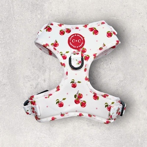 Apple Pawtumn Jeans Dog Harness: Adjustable Padded Puppy Harness