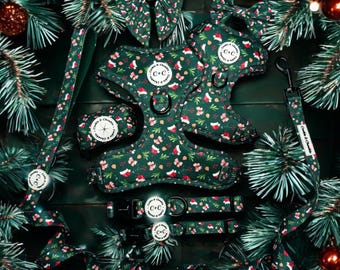 Könnte beinhalten: Ein grünes und rotes Weihnachts-Hundegeschirr, Leine und Fliege-Set mit einem weißen "C&C"-Logo. Das Set zeigt ein festliches Muster aus Weihnachtsmützen, Stechpalmen und Tannenzweigen.