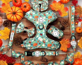 Könnte beinhalten: Ein blaues Hundegeschirr mit einem Herbst-Motiv mit Kürbissen, Blättern und Kaffeetassen. Das Geschirr wird mit einer passenden Leine, einem Halsband und einer Schleife kombiniert. Das Set ist mit herbstlichen Akzenten wie Kürbissen und Blättern verziert.