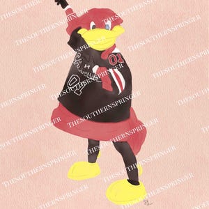 South Carolina Mascot | Cocky Watercolor Drawing | South Carolina Gamecocks