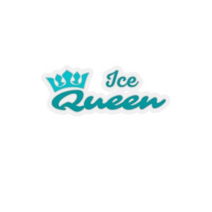 Ice Queen Stickers, Ice Palace Vinyl Sticker, Frozen Sticker, Ice Palace Sticker, Ice Cream Planner Stickers for Recollections, anna sticker