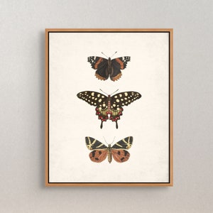 Butterfly Wall Art, Vintage Wall Art, Printable Vintage Butterfly, Butterfly Wall Decor, Antique Print, Printable Art, Vintage Prints