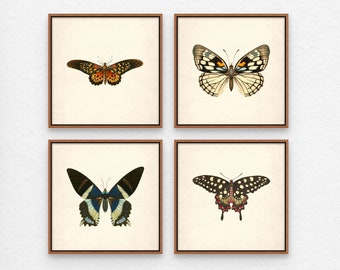 Vintage Butterfly Prints, Antique Wall Art Set of 4 (Digital Download)