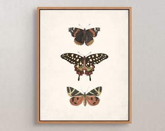 Butterfly Wall Art, Vintage Wall Art, Printable Vintage Butterfly, Butterfly Wall Decor, Antique Print, Printable Art, Vintage Prints