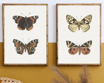 Vintage Butterfly Wall Art, Vintage Wall Art Set of 2, Vintage Butterfly Prints, Printable Butterfly Wall Decor, Antique Prints