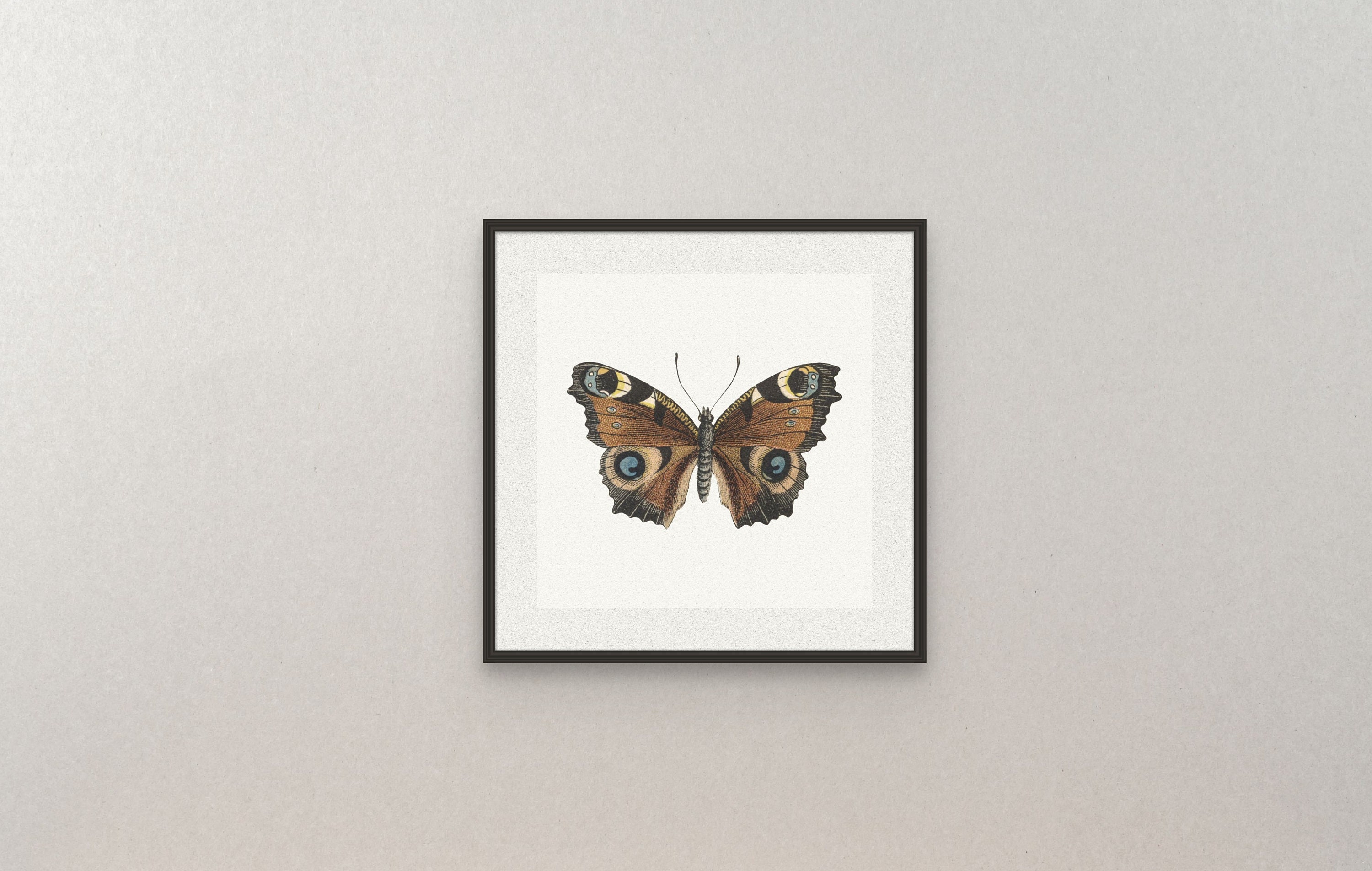 Set of 2 Vintage Printables, Vintage Wall Art Set, Vintage Butterfly ...
