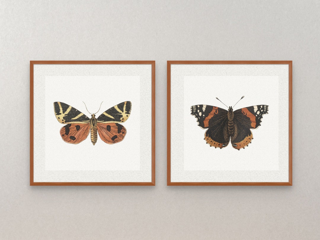 Set of 2 Vintage Printables, Vintage Wall Art Set, Vintage Butterfly ...