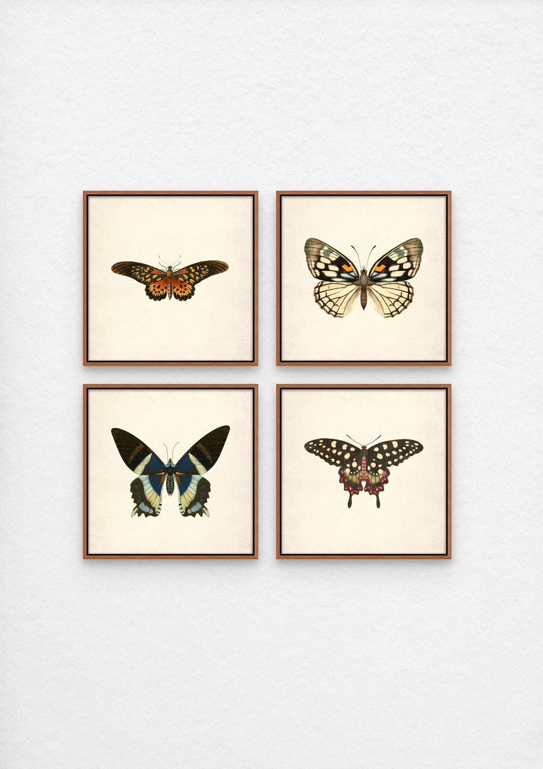 Vintage Butterfly Prints, Antique Wall Art Set of 4 (digital Download ...