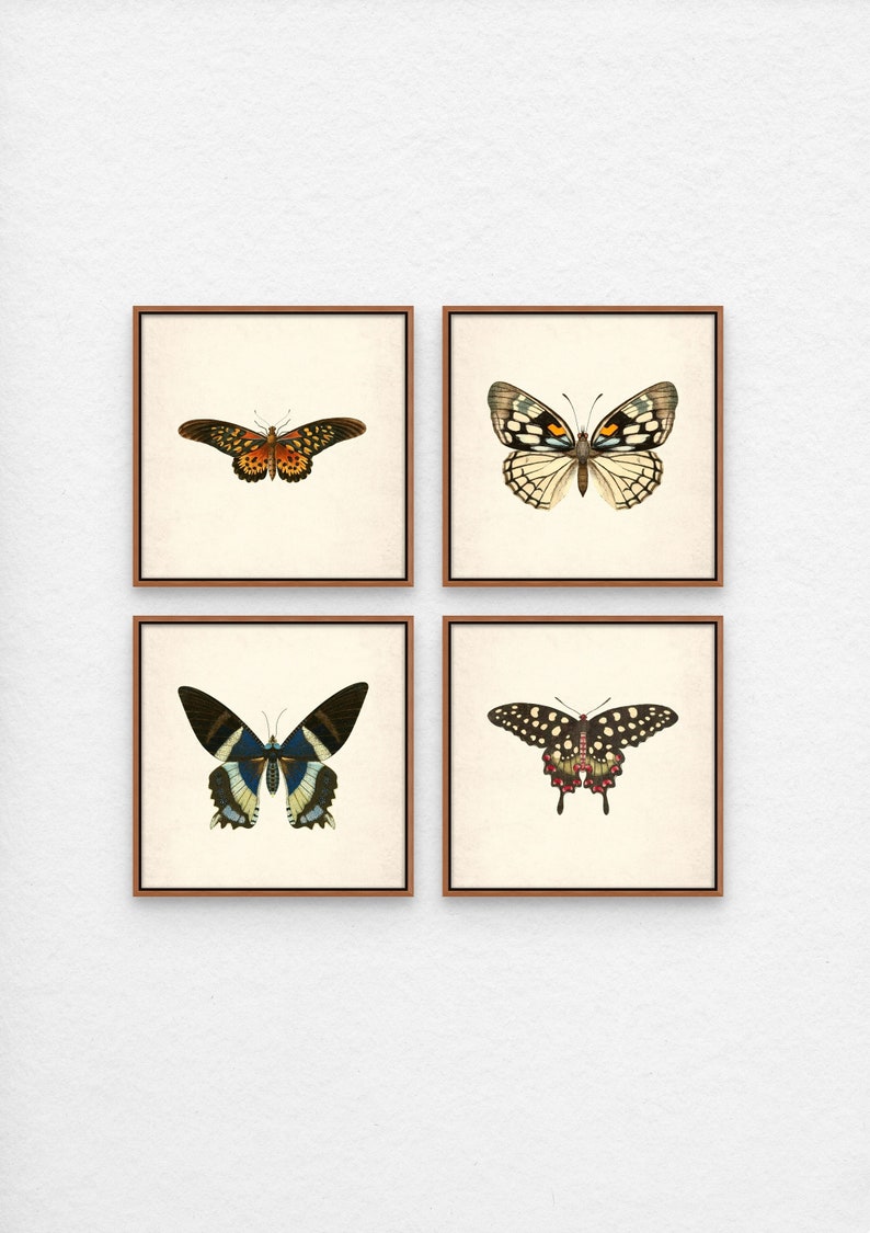 Vintage Butterfly Wall Art Set of 4, Butterfly Wall Decor, Antique
