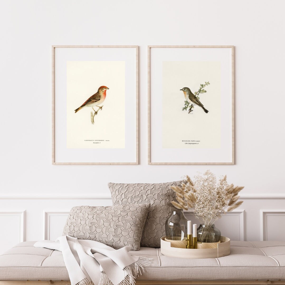 Vintage Bird Art Print Casual Cotton Sweatshirt