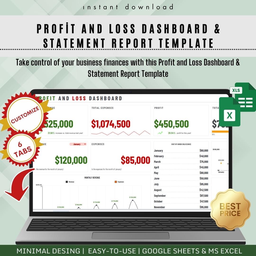  Profit and Loss Dashboard & Statement Report Template, Digital Download Motiv 