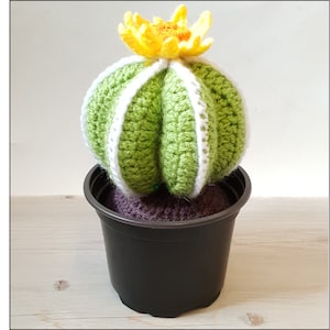 Cacti Crochet Pattern: Beginner-Friendly Succulent (PDF Pattern)