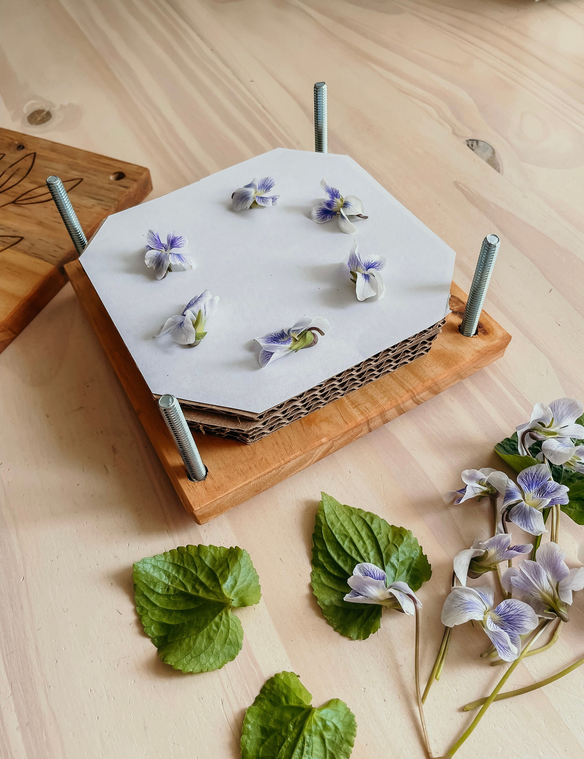 Flower Press, Micro Flower Press For Plants Arts Crafts Lovers Crafting Kits For Adults Kids D3689e9f Bb3d 45f9 A8a3 599eb07c9f58.1edf9cb2e52c793574c3de01119f2558