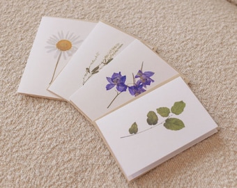 Pressed Flower Greeting Cards, Handmade Blank Notecard Set of 4