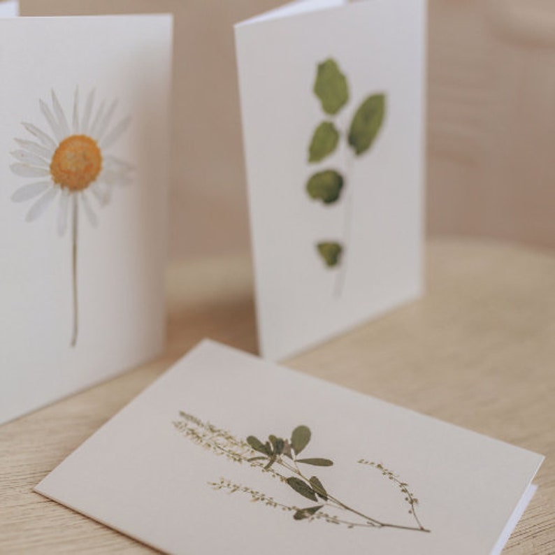 Pressed Flower Greeting Cards, Handmade Blank Notecard Set of 4 - Etsy ...