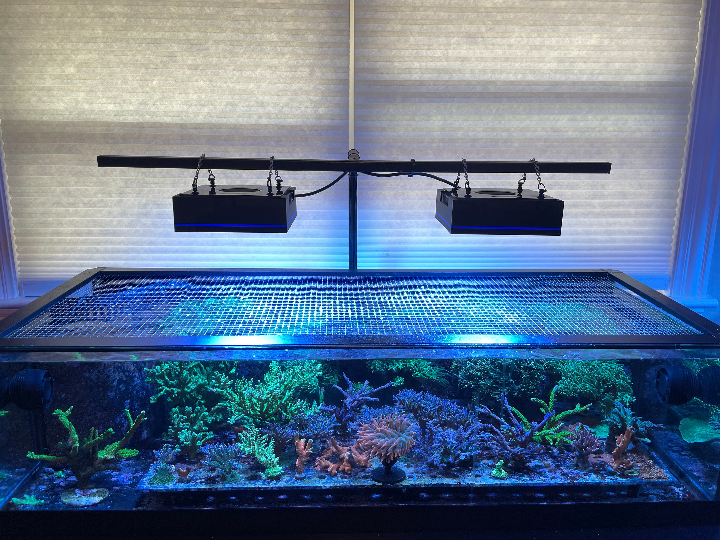 Ecotech Marine Radion XR15 G4, G5, G6 Light Shade. - Etsy 日本 Ecotech Marine Radion XR15 G4, G5, G6 Light Shade. - Etsy 日本