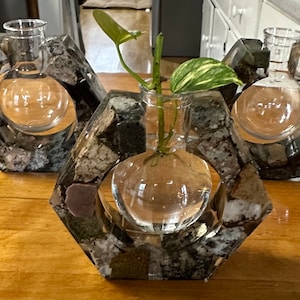 Plant propagation vase- Hexagon  A beautiful and unique way to start that perfect plant over again! You can watch as the root form!