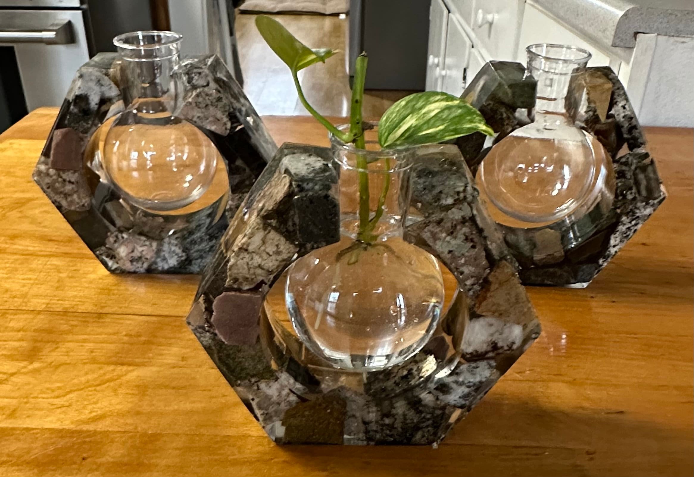 Handmade Maine Rock Plant Propagation Vase - Hexagon
