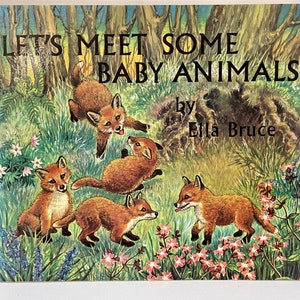 Let's Meet Some Bay Animals by Ella Bruce. A beautiful Medici children's book from the 70's with pretty illustrations, introducing wildlife