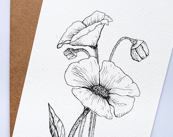 Hand drawn poppy postcard
