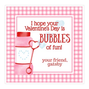 May include: A pink and red bubble bottle with a heart-shaped wand. The text reads "I hope your Valentine's Day is BUBBLES of fun! your friend, gatsby".