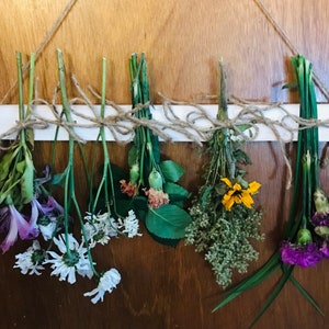 Peut inclure: Une collection de fleurs et d'herbes s&eacute;ch&eacute;es suspendues &agrave; un support en bois blanc. Les fleurs comprennent des fleurs violettes, blanches et jaunes, et les herbes sont vertes et brunes.