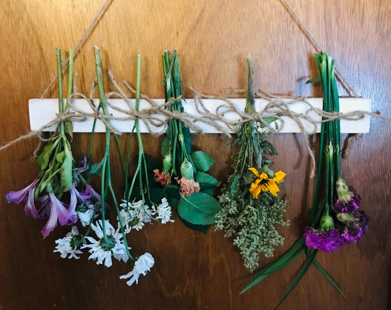 Peut inclure: Une collection de fleurs et d'herbes s&eacute;ch&eacute;es suspendues &agrave; un support en bois blanc. Les fleurs comprennent des fleurs violettes, blanches et jaunes, et les herbes sont vertes et brunes.