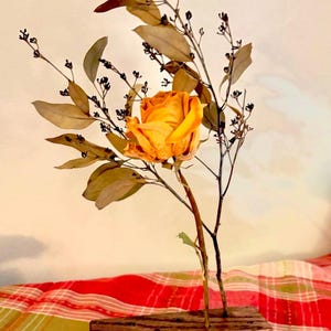 Peut inclure: Une seule rose jaune s&eacute;ch&eacute;e avec des feuilles et des branches d'eucalyptus s&eacute;ch&eacute;es dans un vase en bois.