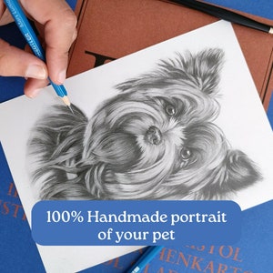 Custom Pet Portrait Yorkshire Terrier Black and white drawing from photo Original graphite on paper commission physical traditional dog art
