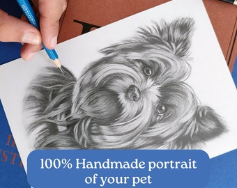 Custom Pet Portrait Yorkshire Terrier Black and white drawing from photo Original graphite on paper commission physical traditional dog art