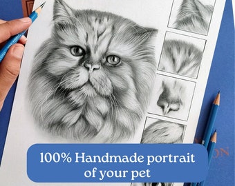 Commissioned Portrait Handmade of your cat, black and with pencil on paper drawing,Persian Cat graphite, realistic pet portrait from photo