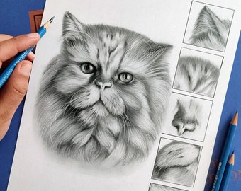 Commissioned Portrait Handmade of your cat, black and with pencil on paper drawing,Persian Cat graphite, realistic pet portrait from photo