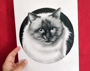 Portrait d'animal de compagnie fait main, noir et dessin au crayon sur papier, mine de plomb chat chien, portrait d'animal de compagnie réaliste à partir d'une photo, 20 x 28,3 cm