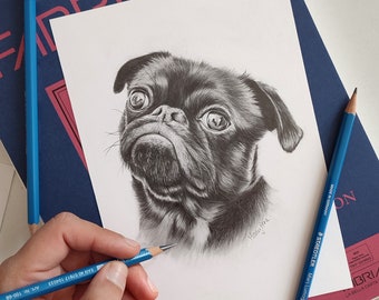 Custom Pet Realistic Portrait Black and white Pug drawing from photo Original graphite on paper commission physical traditional dog art